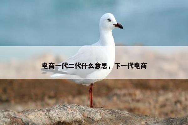 电商一代二代什么意思，下一代电商