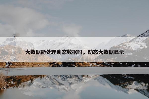 大数据能处理动态数据吗，动态大数据显示
