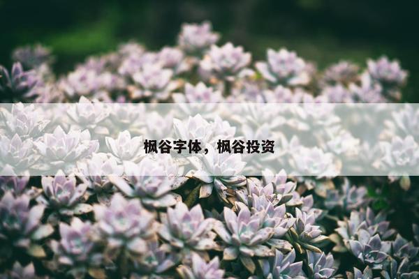 枫谷字体，枫谷投资