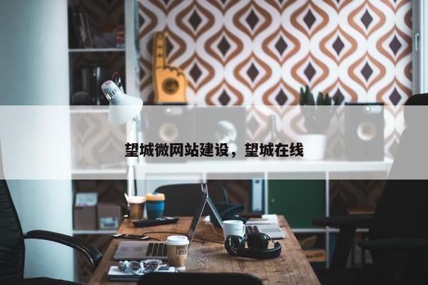 望城微网站建设，望城在线