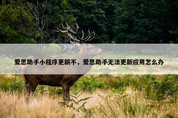 爱思助手小程序更新不，爱思助手无法更新应用怎么办