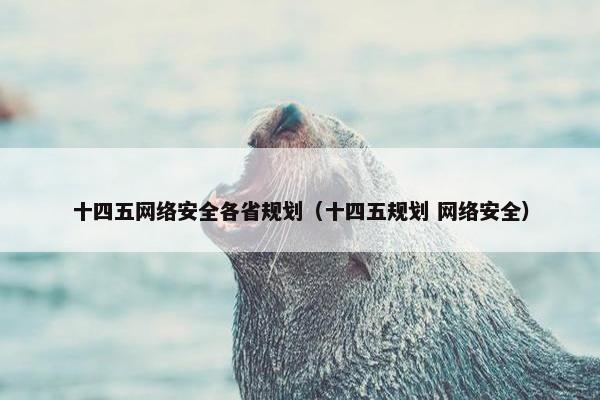 十四五网络安全各省规划（十四五规划 网络安全）