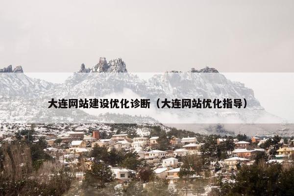 大连网站建设优化诊断（大连网站优化指导）