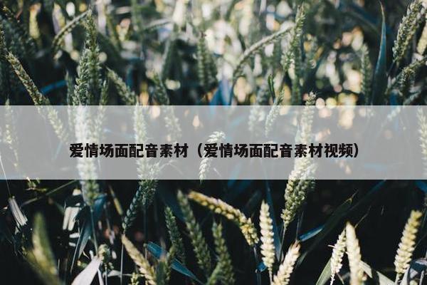 爱情场面配音素材（爱情场面配音素材视频）