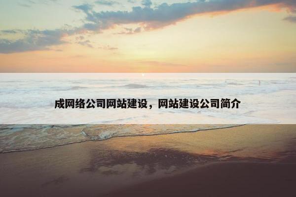 成网络公司网站建设，网站建设公司简介