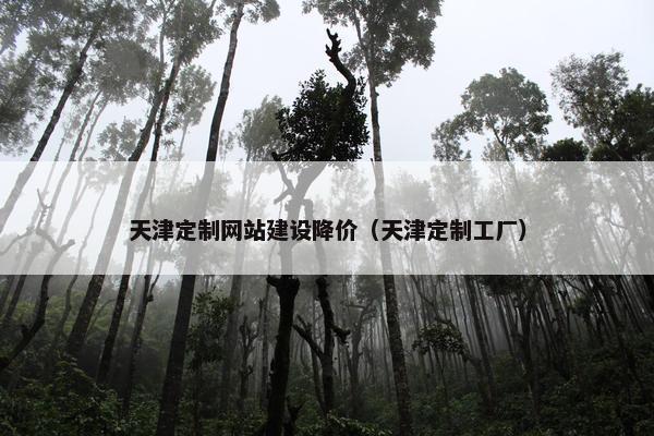 天津定制网站建设降价（天津定制工厂）
