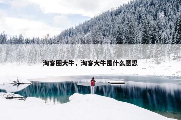 淘客圈大牛，淘客大牛是什么意思
