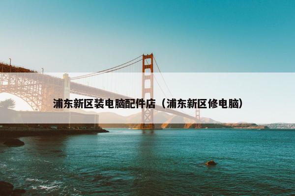 浦东新区装电脑配件店（浦东新区修电脑）