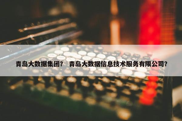青岛大数据集团？ 青岛大数据信息技术服务有限公司？