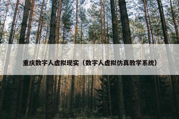 重庆数字人虚拟现实（数字人虚拟仿真教学系统）