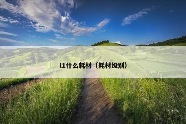 l1什么耗材（耗材级别）