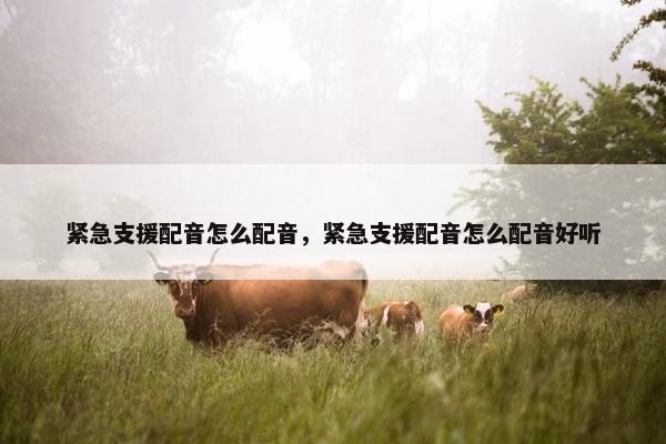 紧急支援配音怎么配音，紧急支援配音怎么配音好听