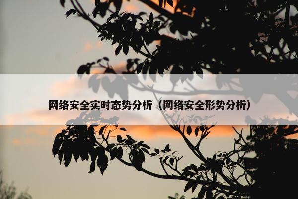 网络安全实时态势分析（网络安全形势分析）