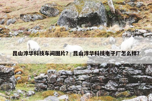昆山淳华科技车间图片？ 昆山淳华科技电子厂怎么样？