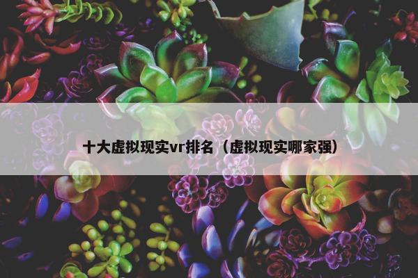 十大虚拟现实vr排名（虚拟现实哪家强）