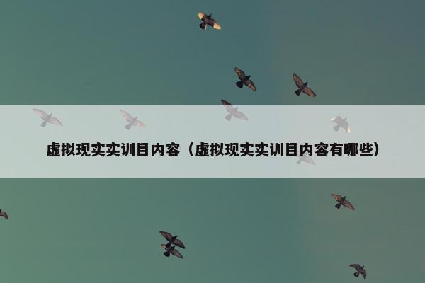 虚拟现实实训目内容（虚拟现实实训目内容有哪些）