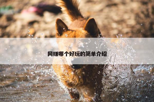 网赚哪个好玩的简单介绍
