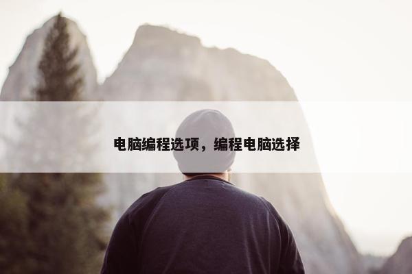 电脑编程选项，编程电脑选择
