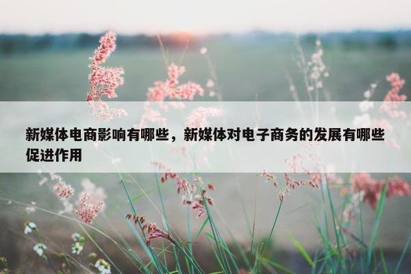 新媒体电商影响有哪些，新媒体对电子商务的发展有哪些促进作用