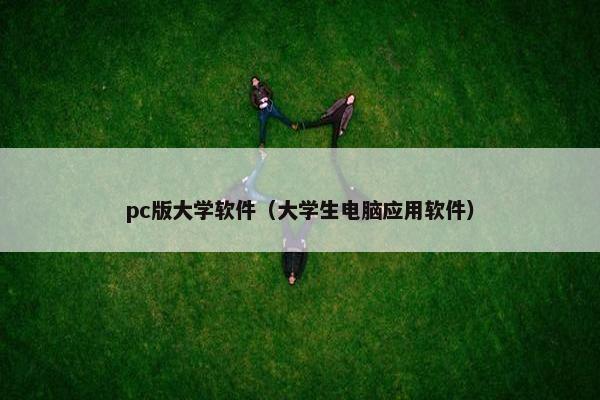 pc版大学软件（大学生电脑应用软件）