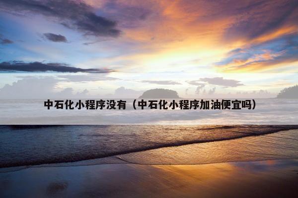 中石化小程序没有（中石化小程序加油便宜吗）