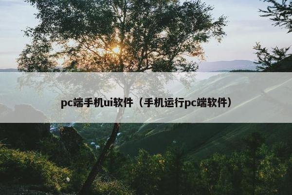 pc端手机ui软件（手机运行pc端软件）