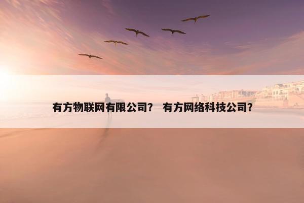 有方物联网有限公司？ 有方网络科技公司？