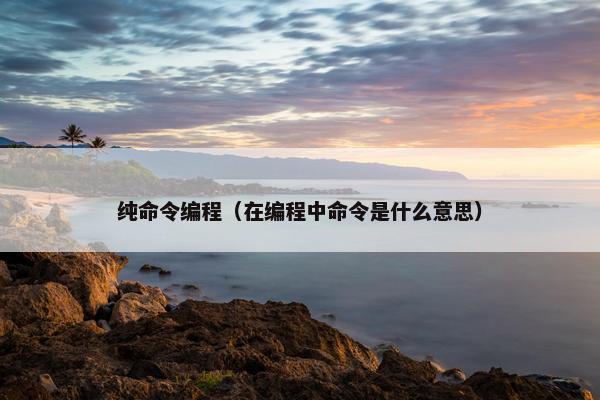 纯命令编程（在编程中命令是什么意思）
