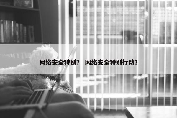 网络安全特别？ 网络安全特别行动？