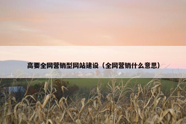 高要全网营销型网站建设（全网营销什么意思）