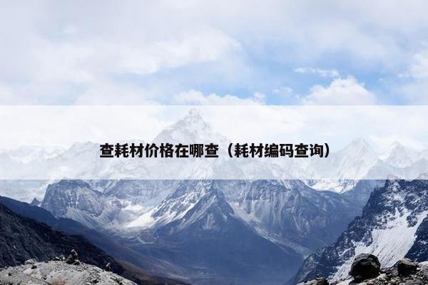 查耗材价格在哪查（耗材编码查询）