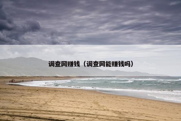 调查网赚钱（调查网能赚钱吗）