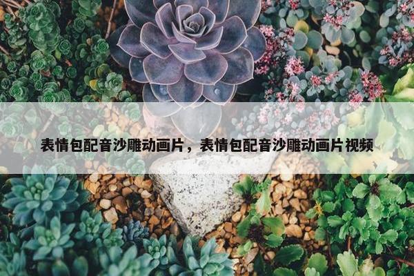 表情包配音沙雕动画片，表情包配音沙雕动画片视频
