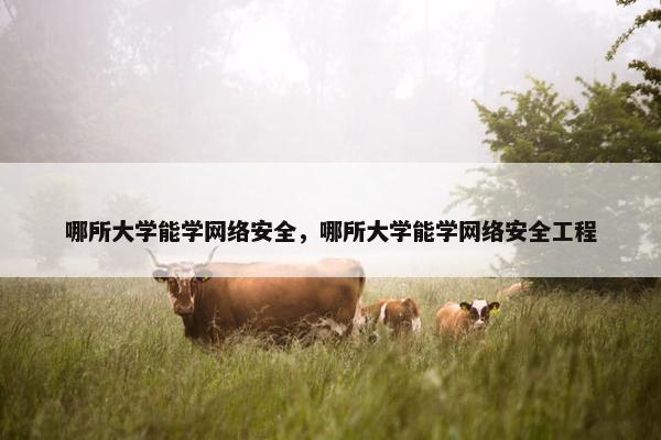 哪所大学能学网络安全，哪所大学能学网络安全工程