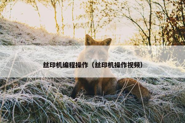 丝印机编程操作（丝印机操作视频）