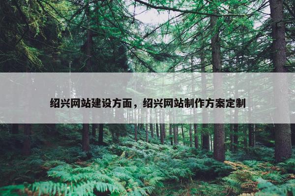 绍兴网站建设方面，绍兴网站制作方案定制