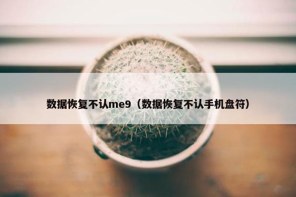 数据恢复不认me9（数据恢复不认手机盘符）