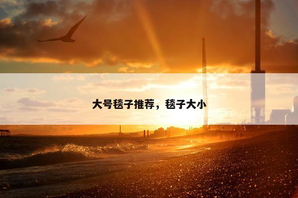 大号毯子推荐,毯子大小