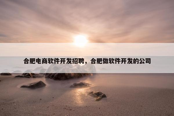 合肥电商软件开发招聘，合肥做软件开发的公司