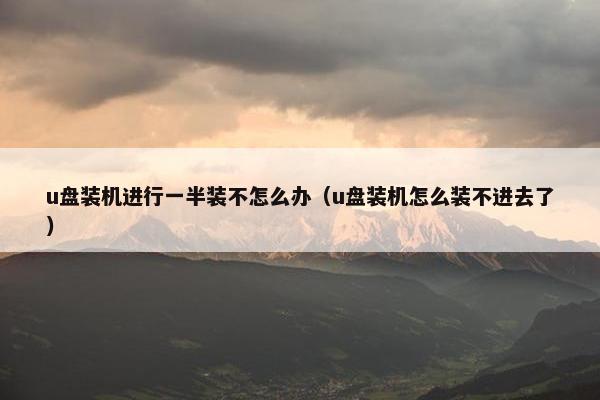 u盘装机进行一半装不怎么办（u盘装机怎么装不进去了）