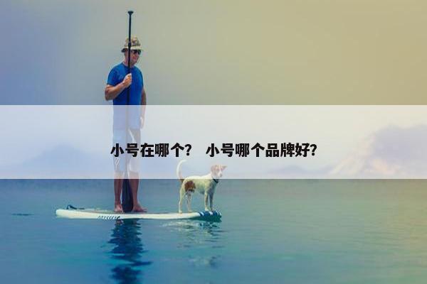 小号在哪个？ 小号哪个品牌好？