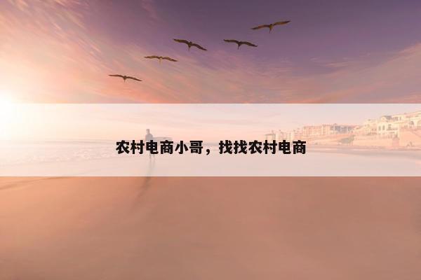 农村电商小哥，找找农村电商