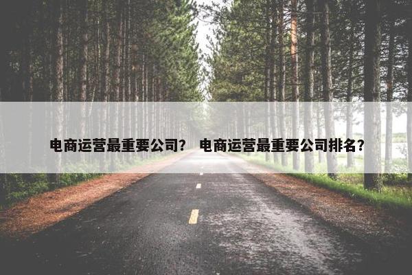 电商运营最重要公司？ 电商运营最重要公司排名？