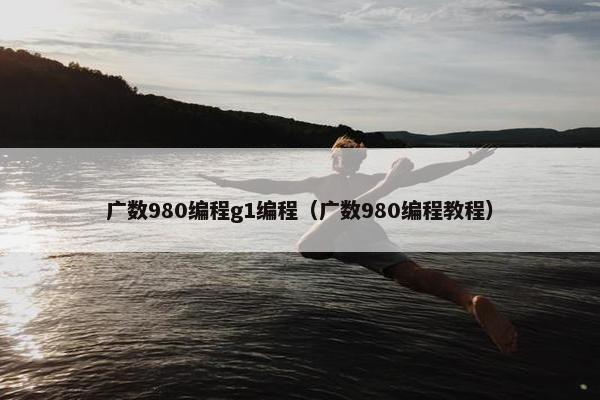 广数980编程g1编程（广数980编程教程）