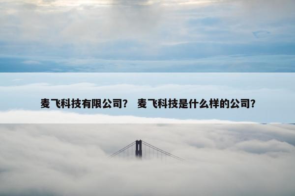 麦飞科技有限公司？ 麦飞科技是什么样的公司？