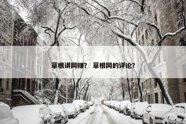 草根讲网赚？ 草根网的评论？