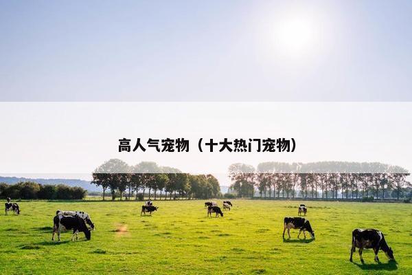 高人气宠物（十大热门宠物）