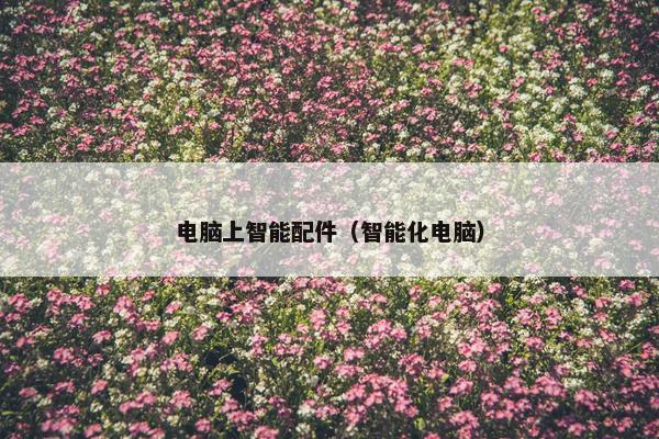 电脑上智能配件（智能化电脑）