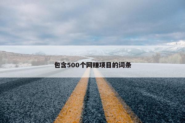 包含500个网赚项目的词条