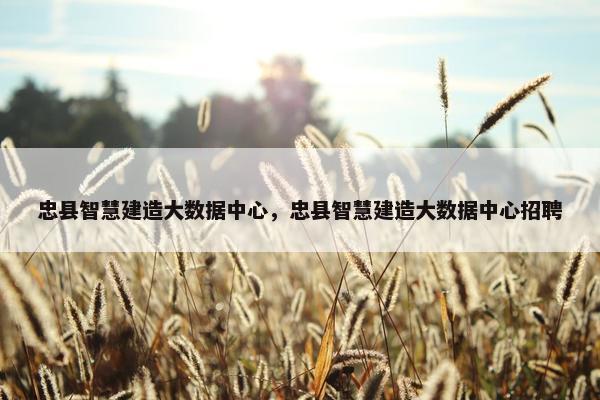 忠县智慧建造大数据中心，忠县智慧建造大数据中心招聘